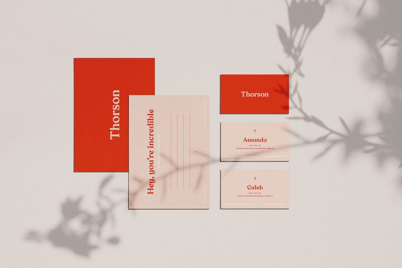 Branding for Thorson Photography by Bandit Design Group. 