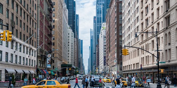 Thumbnail for: 2 New York Student Visas, 2 Shillington Stories