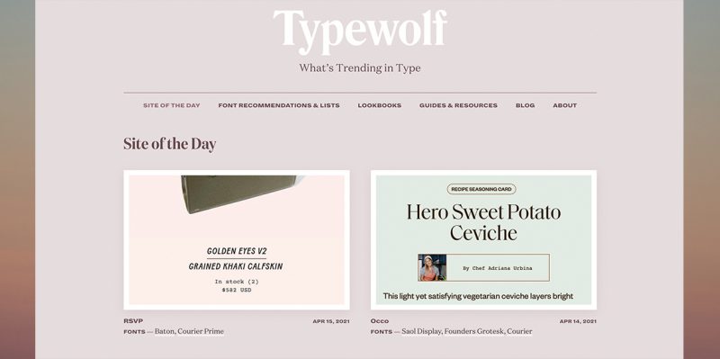 Odilia · Typewolf  Webpage design, Website design inspiration, Website  design