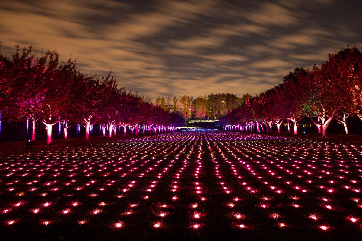 Lightscape at Brooklyn Botanical Garden Shillington Design Blog